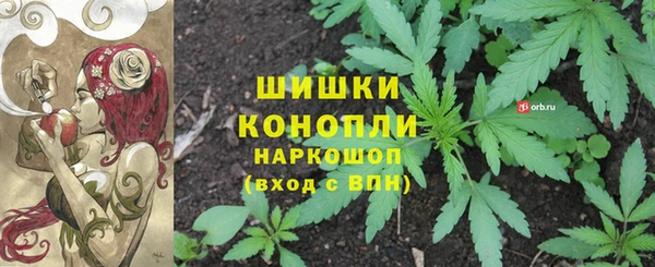 a pvp Бородино