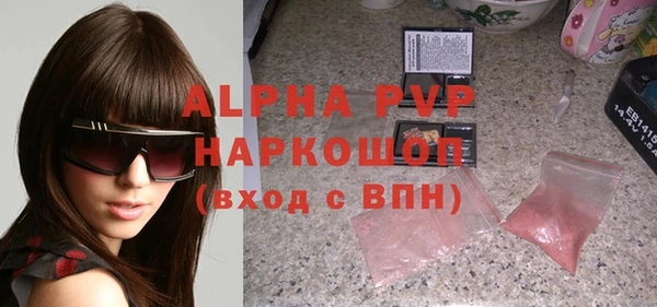 a pvp Бородино