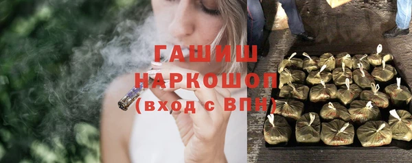 a pvp Бородино