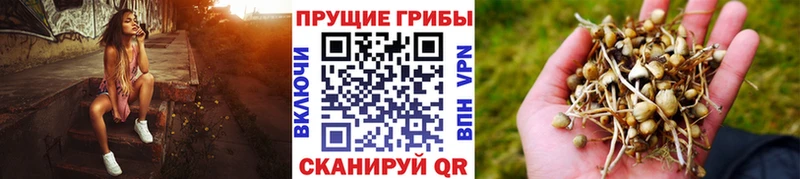 Псилоцибиновые грибы Magic Shrooms  Велиж 